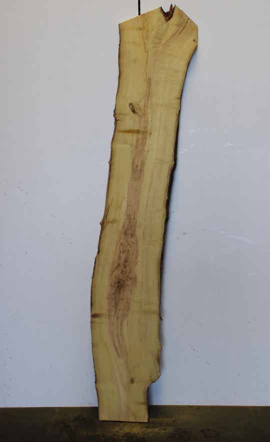 Boomstam plank Acacia 140