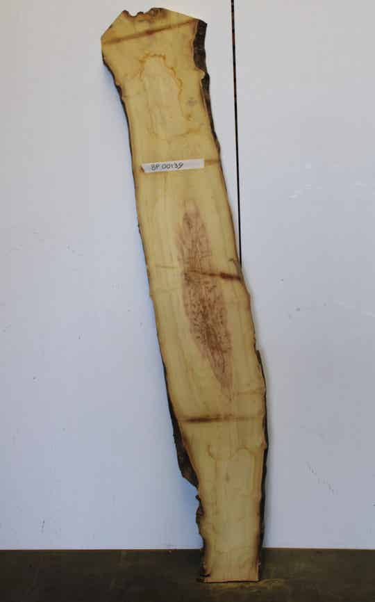 Boomstam plank Acacia 139