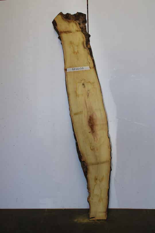 Boomstam plank Acacia 138