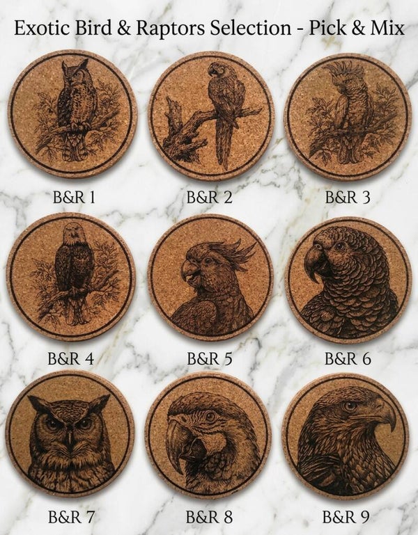 Exotic Birds & Raptors Selection Bundle Set of 4