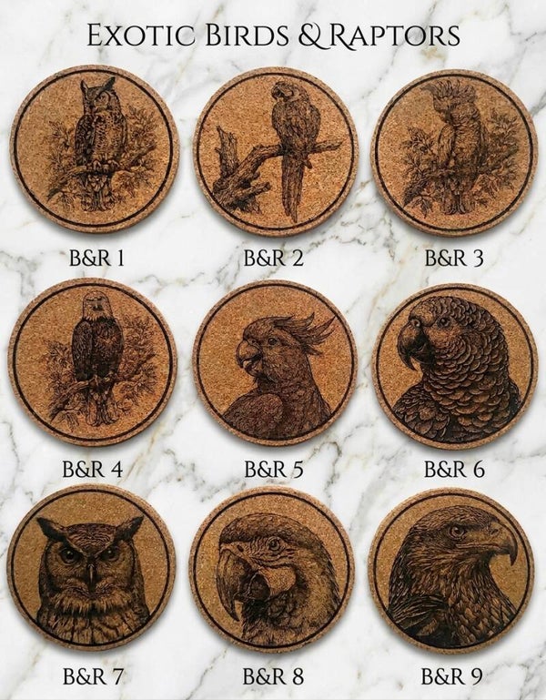 Exotic Birds & Raptors Selection Bundle Set of 4