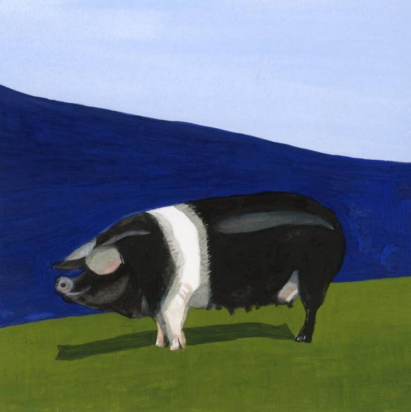 The Farm Cow Limited Edition Print