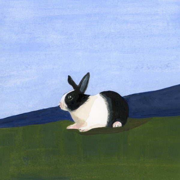 The Farm Rabbit Limited Edition Print