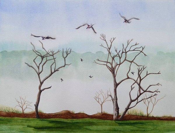 Where the Birds Fly (Requires Framing)