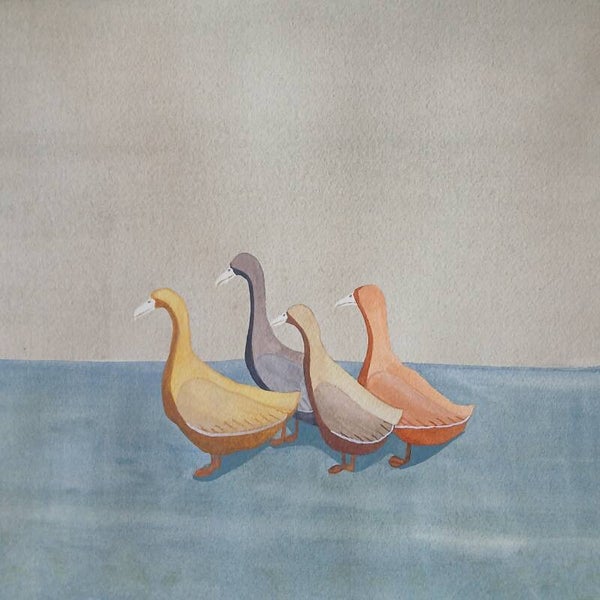 Four Ducks (Requires Framing)