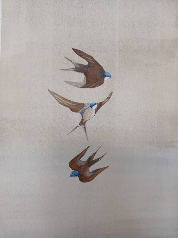 Three Swallows (Requires Framing)