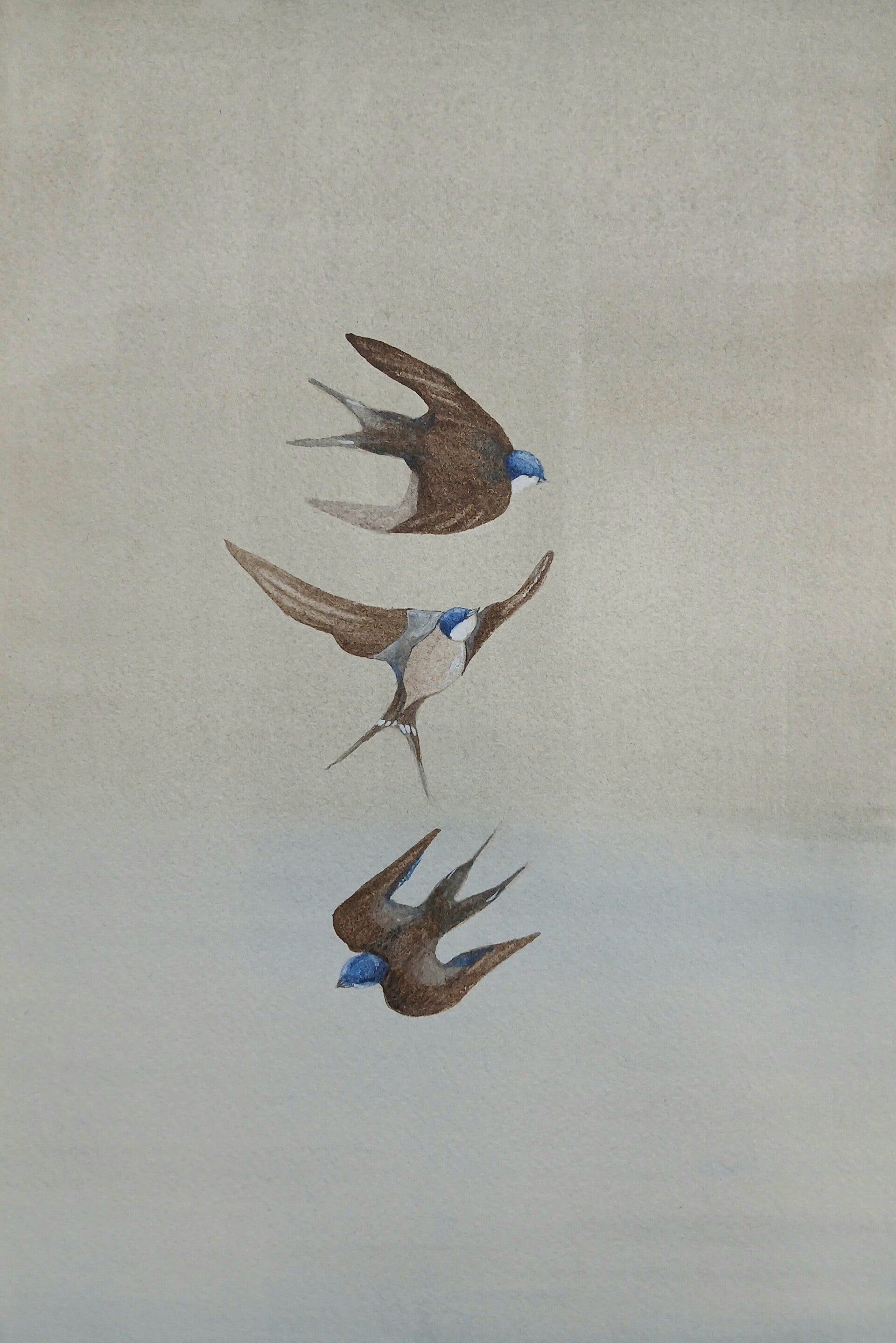 Three Swallows (Requires Framing)