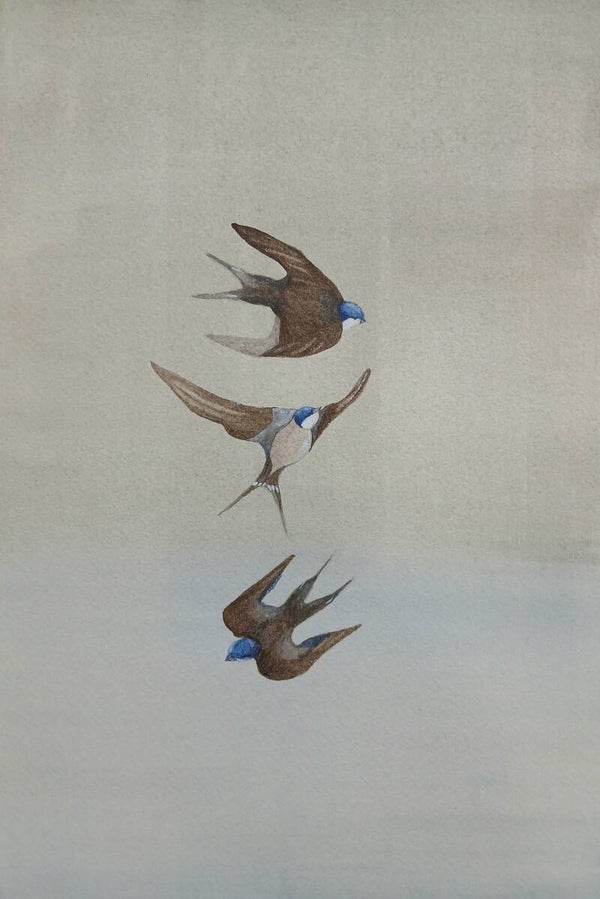 Three Swallows (Requires Framing)