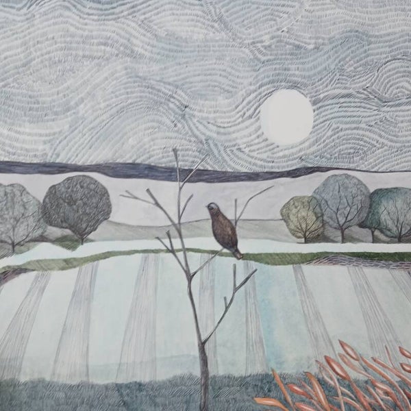 Evening Light Limited Ed. 1 of 30
