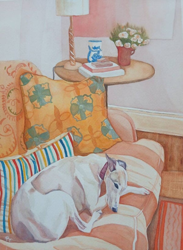 Soaking up the Sun (Requires Framing)