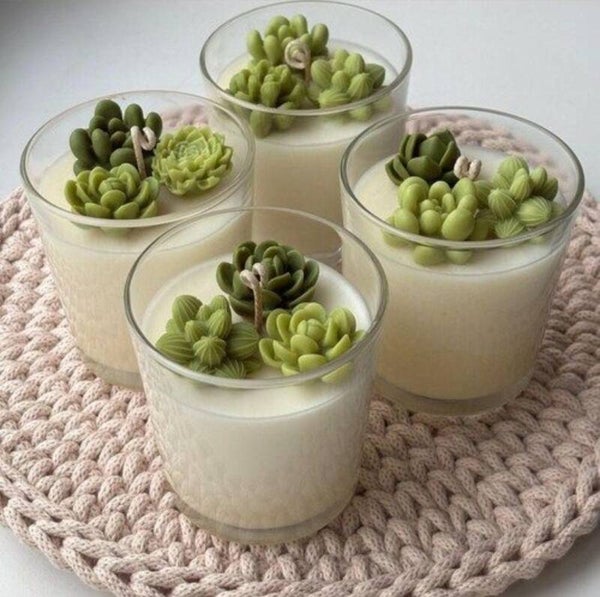 Bougie artisanale succulentes