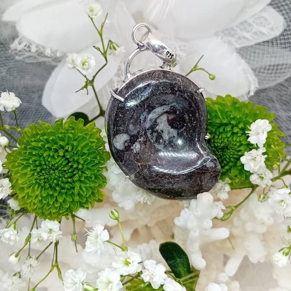 Pendentif Ammonite naturelle sur griffes - Argent sterling 925