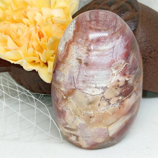 Pierre Bois Fossile naturel qualité AA 289g Unique
