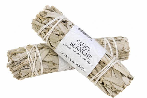 Sauge Blanche de Californie  - Fagot de fumigation