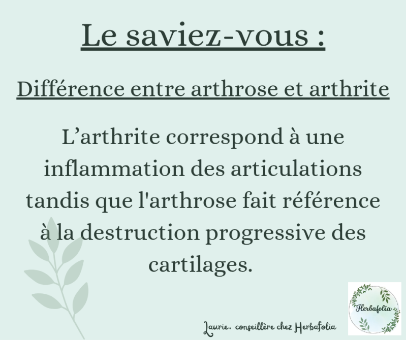 Arthrose et arthrite : différence