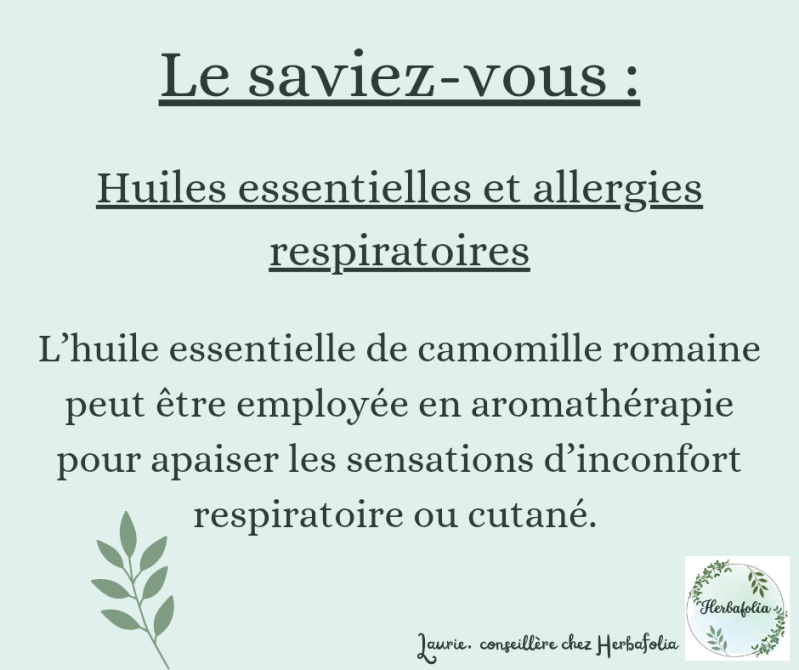 Aromathérapie : l'huile essentielle de camomille romaine pour le confort respiratoire ou cutané