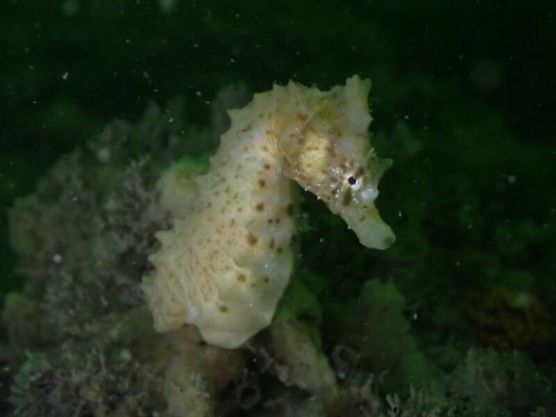 21-07-2024 Stavenisse