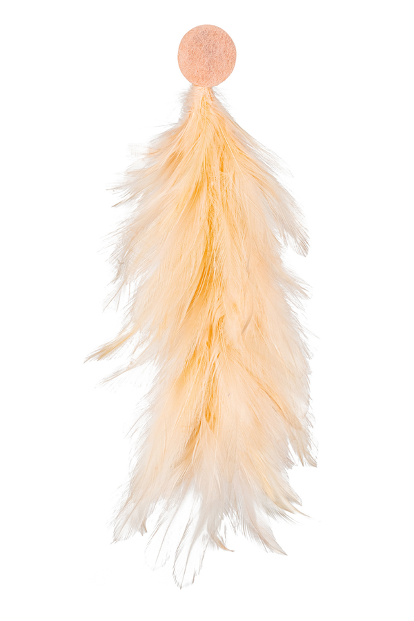 Veren pluim abrikoos