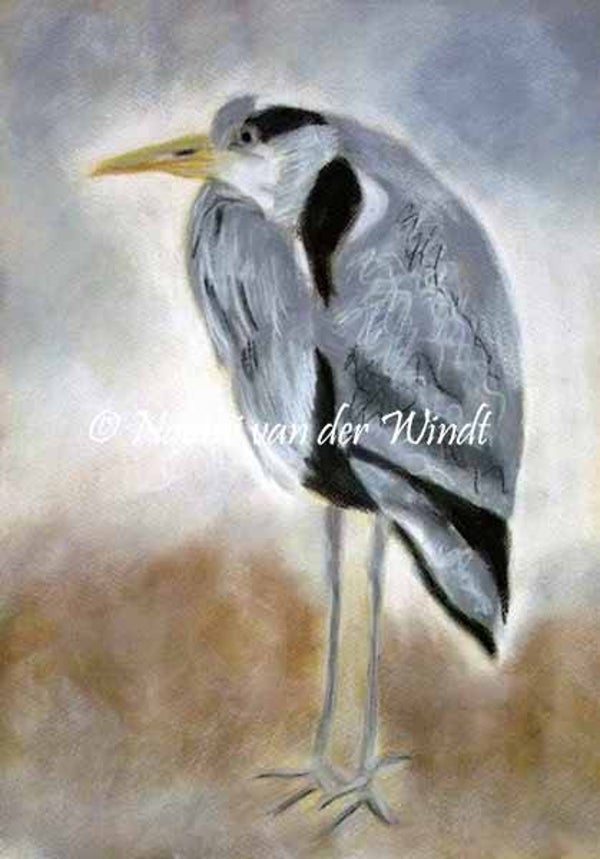 002 Reiger - kunstreproductie