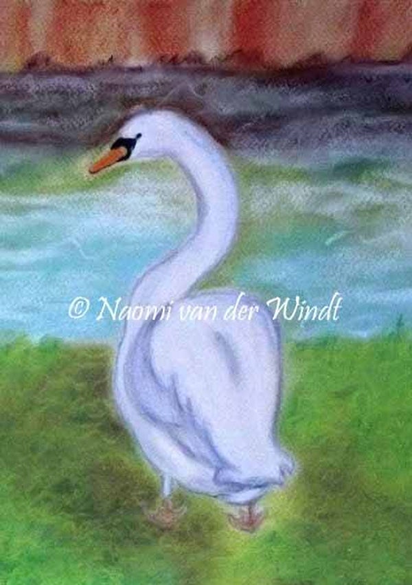 003 Zwaan aan het water - dubbel gevouwen kunstkaart incl. envelop