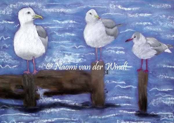 004 Meeuwen- dubbel gevouwen kunstkaart incl. envelop