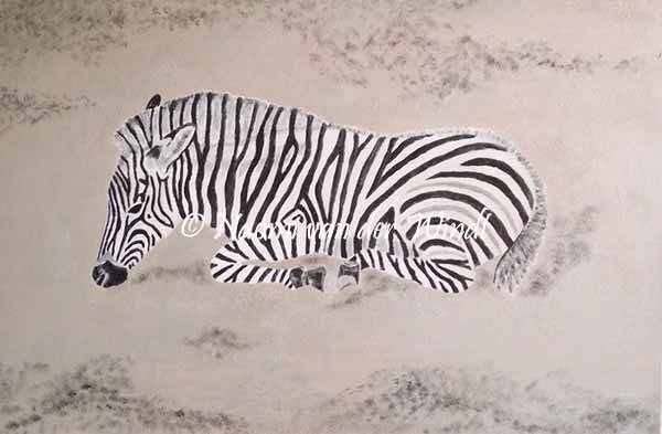 008 Zebra - kunstreproductie