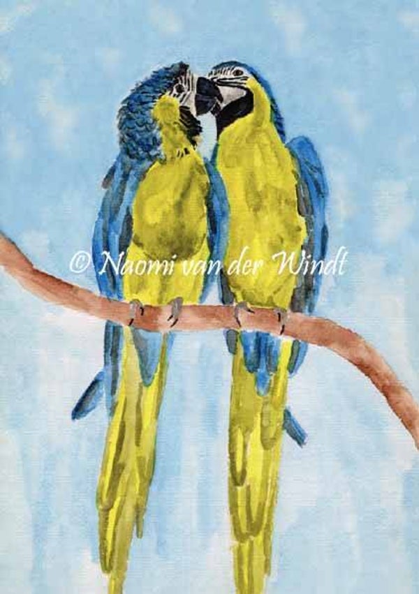 024 Papagaaien - dubbel gevouwen kunstkaart incl. envelop