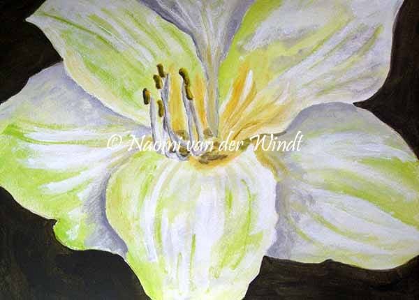 044 Amerilles - kunstreproductie