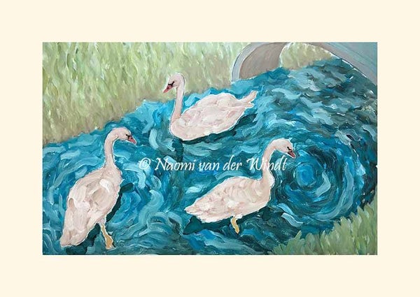 144 Jonge zwanen - op A4 of A3 papier