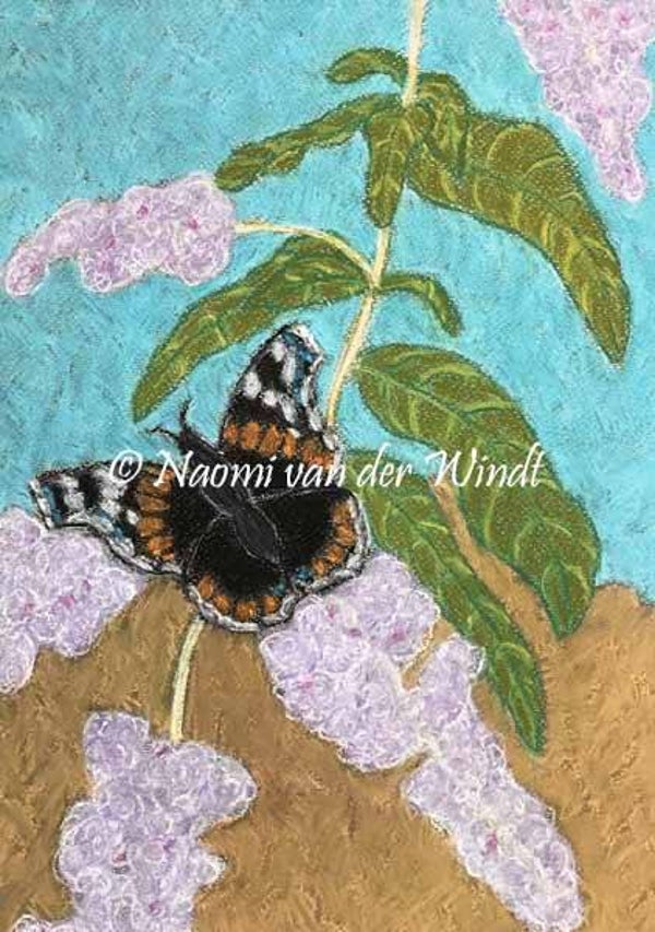 169 Vlinder op vlinderstruik - dubbel gevouwen kunstkaart incl. envelop