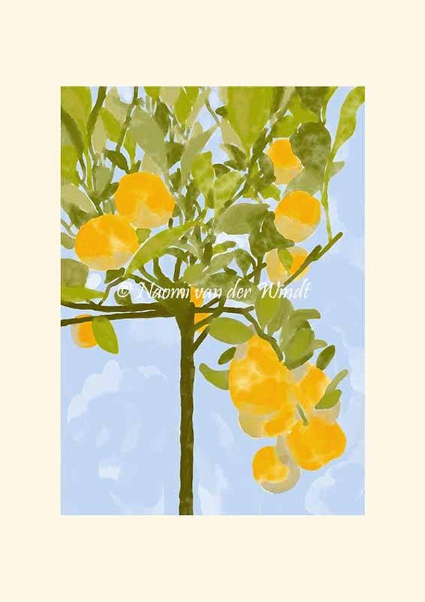228 Sinaasappelboompje - op A4 of A3 papier