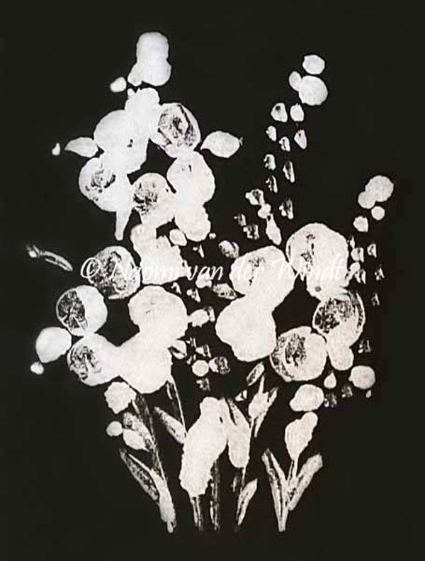 242 Witte bloemen - kunstreproductie