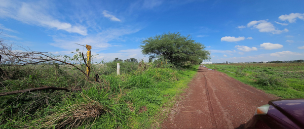Industrial Land for Sale – 13.5 Hectares | El Salto Park II, Jalisco