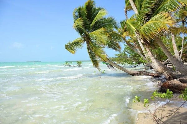 Private Caribbean Island for Sale – Cayo Violín, Mexican Caribbean
