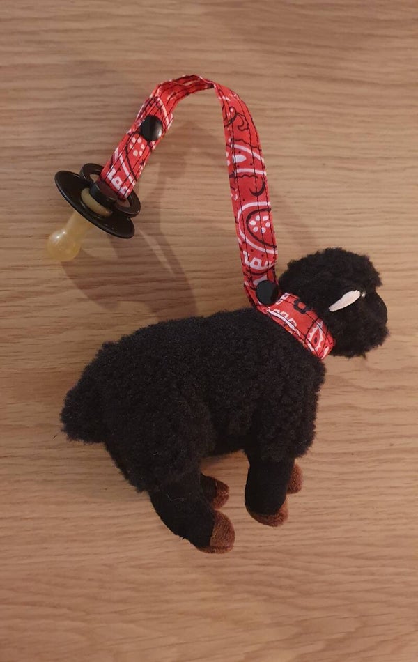 Speenkoord met BIBS speentje zwart