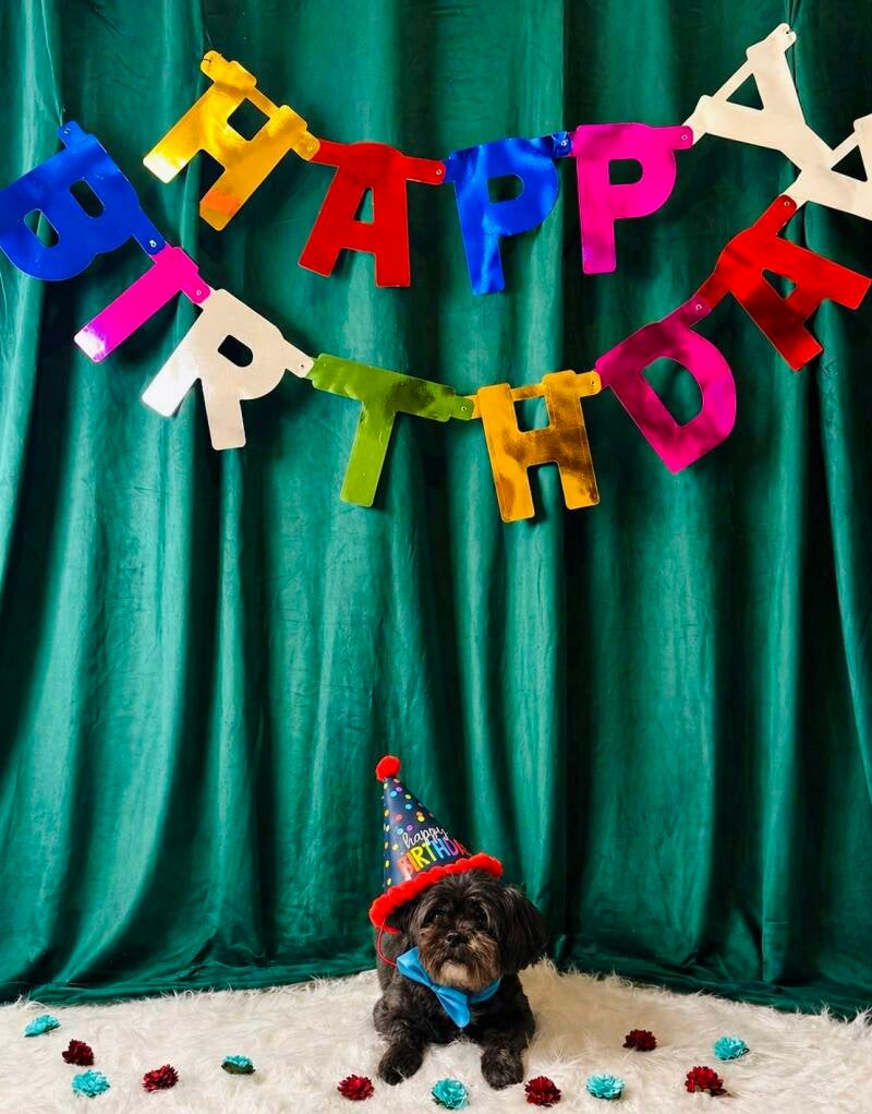 76624fb4-245b-4b3b-9dc3-49f170aa6c40-standard-z4ctba.jpg