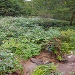 20170904_144111-1.jpg