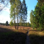 20150918_171449.jpg
