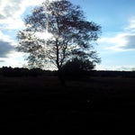 20150918_171659.jpg