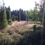 20150918_170424.jpg