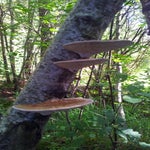 20150918_170952.jpg