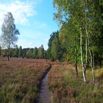 20150918_171533.jpg