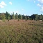 20150918_172911.jpg