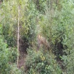 20170904_144655-1.jpg