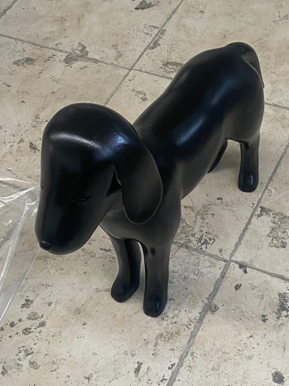 PERRITOS Y MASCOTAS