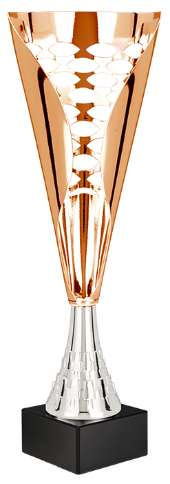 LC259541