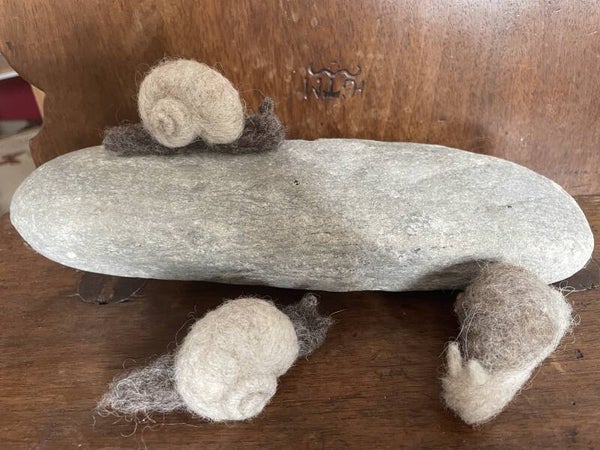 Gefilzte Weinbergschnecken