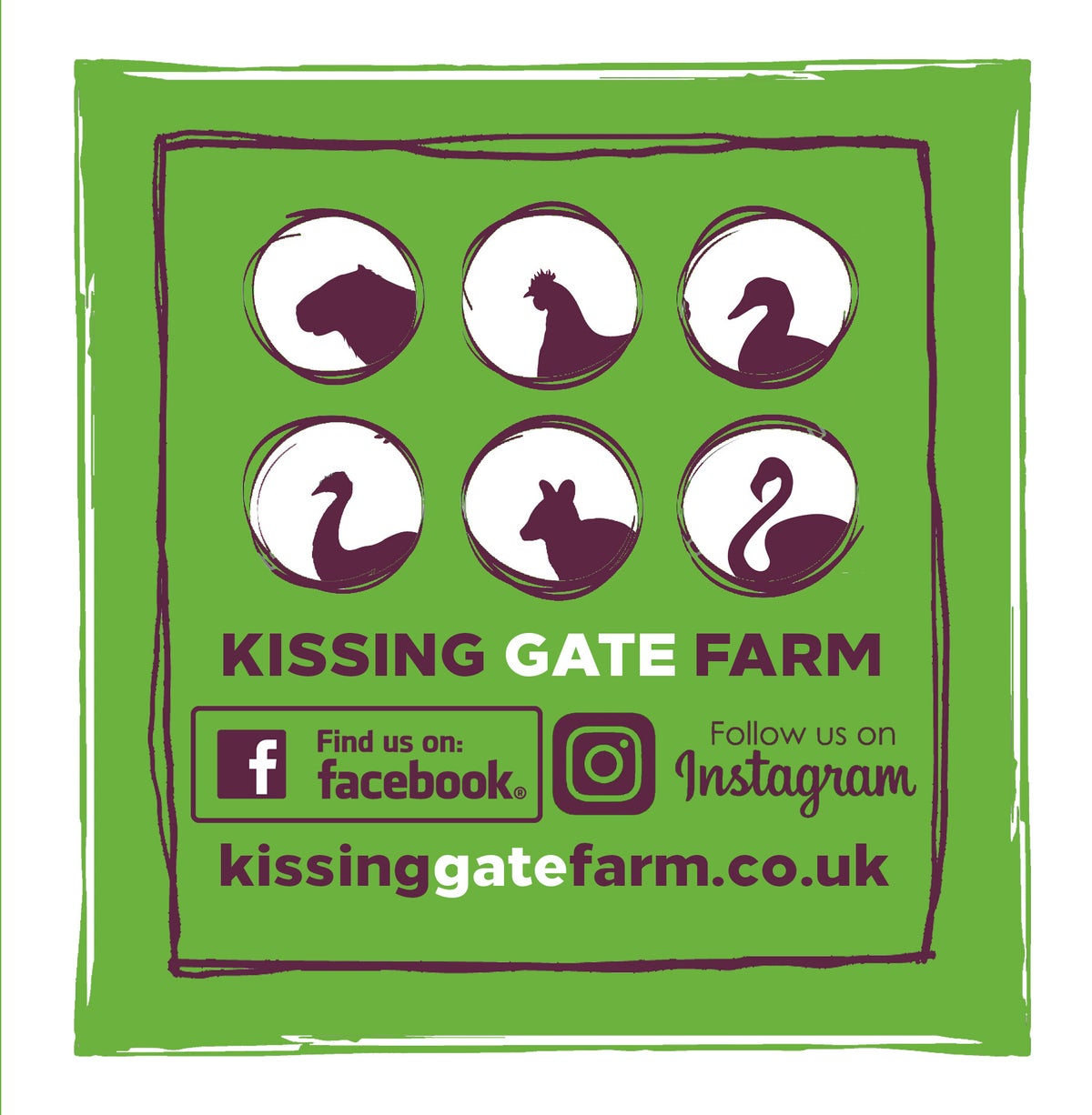 Bennett's Wallabies Available | Kissing Gate Farm