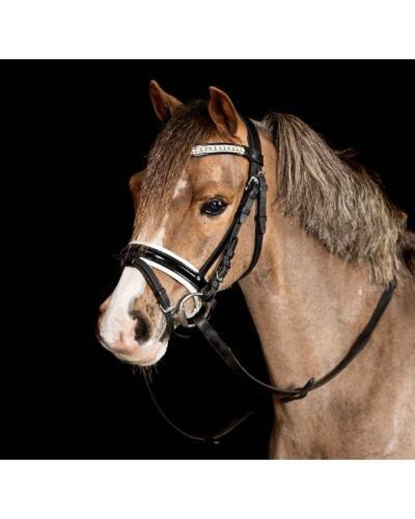 Showtime Hoofdstel Glamerdale pony