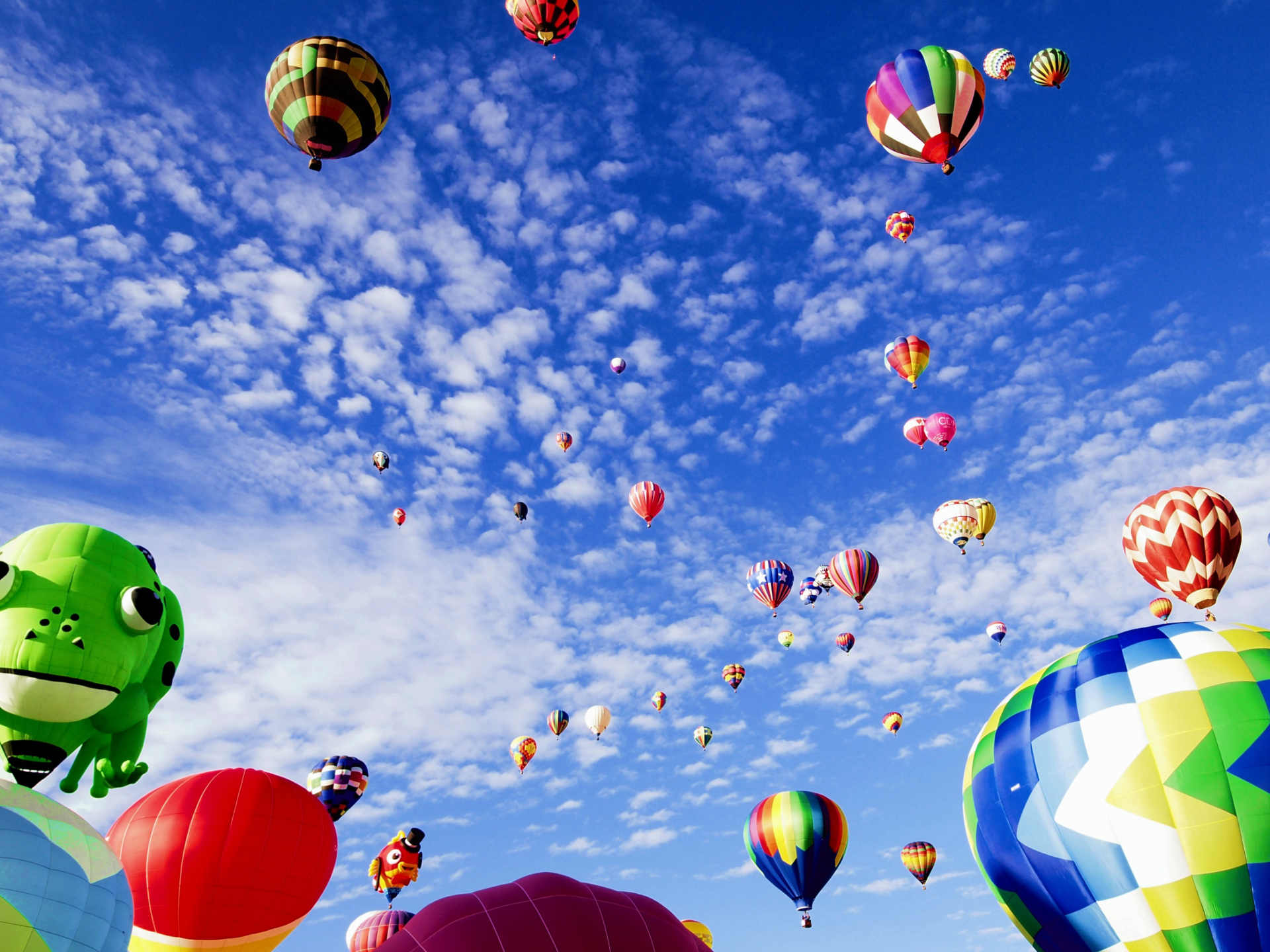 Hete luchtbalonnen met verschillende kleuren en in verschillende vormen zweven door de blauwe lucht